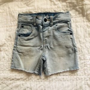 Toddler Boys shorts 2T
